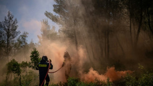 Sur les hauteurs d'Athènes, les pompiers s'entraînent face au risque de nouveaux incendies