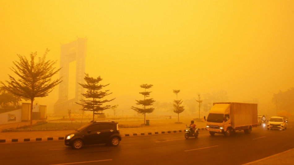 'No place to breathe': life in Indonesia's fire epicentre