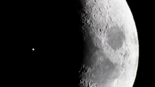 Usa, Nasa: oggetto che colp&igrave; casa in Florida era spazzatura Iss