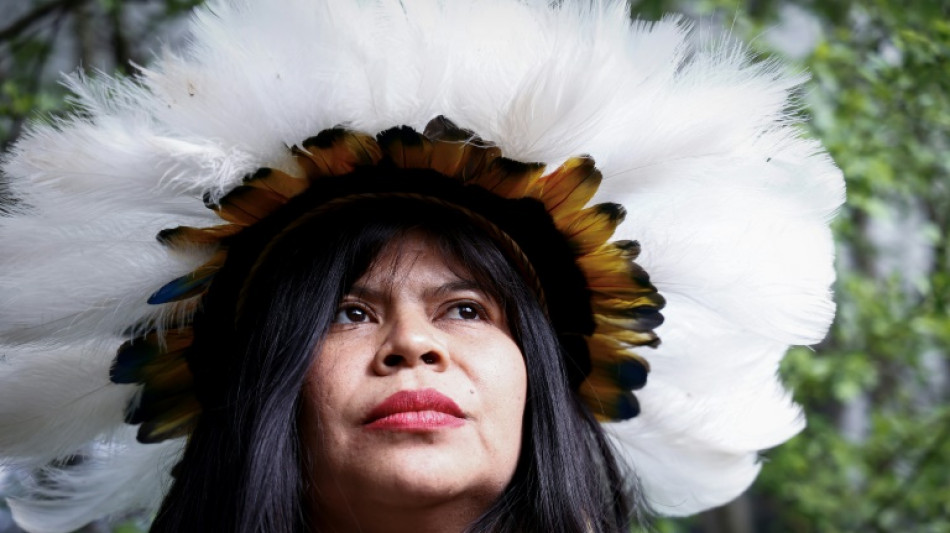 Ind&iacute;genas y activistas brasile&ntilde;os piden a la UE que proteja la regi&oacute;n del Cerrado