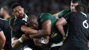 Springboks to meet All Blacks in USA for first time 