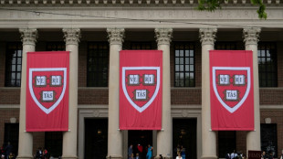 Harvard klagt gegen Einreiseverbote für Studenten aus dem Ausland