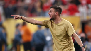 Botafogo anuncia argentino Mart&iacute;n Anselmi como novo t&eacute;cnico