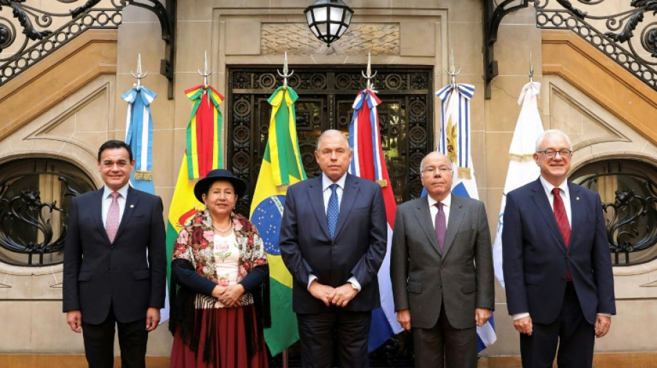 Mercosur ampliará excepciones arancelarias ante guerra comercial de Trump