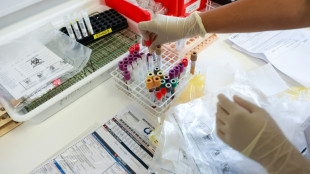 Avoir le chikungunya une deuxième fois? En pleine épidémie, la question agite La Réunion