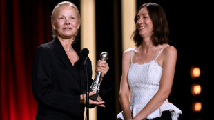 Palmar&eacute;s de la 72&ordf; edici&oacute;n del Festival de cine de San Sebasti&aacute;n