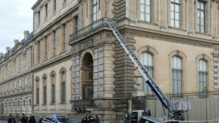 Après le casse spectaculaire au Louvre, la sécurité des musées en question 