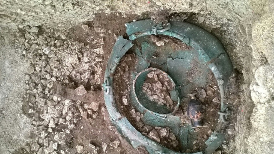 Dix ans après sa découverte, le "Prince de Lavau" continue de livrer ses secrets