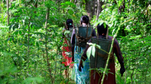 Desmatamento cai em todos os biomas do Brasil pela primeira vez em 6 anos