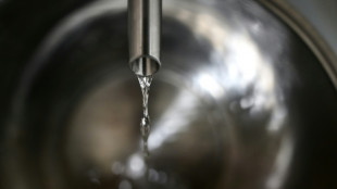 Europäischer Gerichtshof: Alkoholfreies Getränk darf nicht als Gin verkauft werden