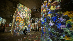 Carri&egrave;res des Baux de provence: la condamnation de Culturespaces confirm&eacute;e en appel