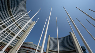 Ir&atilde; diz que volta de inspetores da AIEA n&atilde;o significa retomada plena da coopera&ccedil;&atilde;o