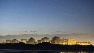 Des m&eacute;duses forcent l'arr&ecirc;t de la centrale nucl&eacute;aire de Gravelines