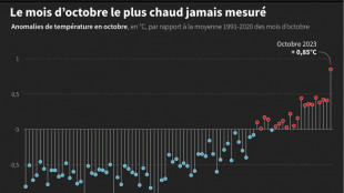 Octobre 2023 le plus chaud dans le monde, cinqui&egrave;me record mensuel d'affil&eacute;e