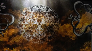 Apprezzamenti per il Trovatore crepuscolare alle Muse di Ancona