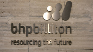 BHP augmente ses b&eacute;n&eacute;fices gr&acirc;ce &agrave; la demande chinoise de cuivre