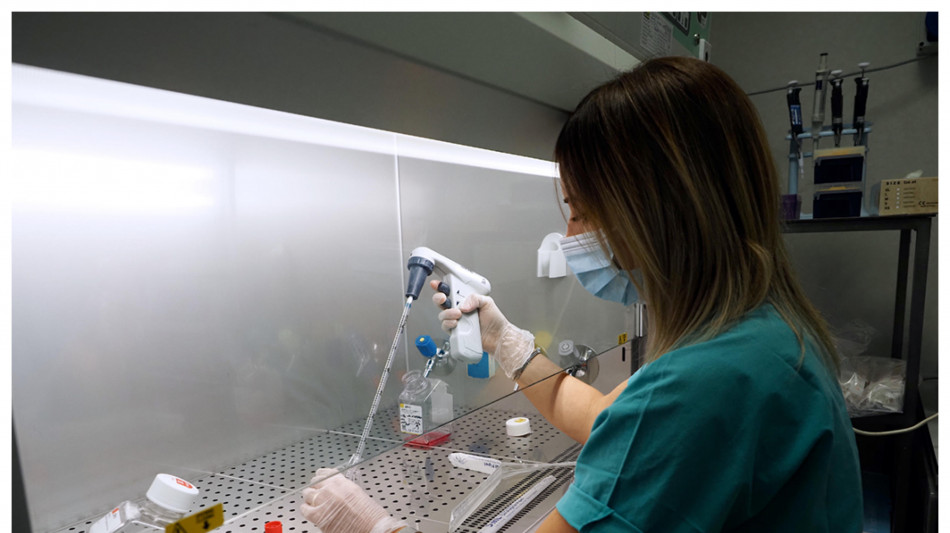 Cervello invecchia? Causa &egrave; stallo in sintesi proteine cerebrali