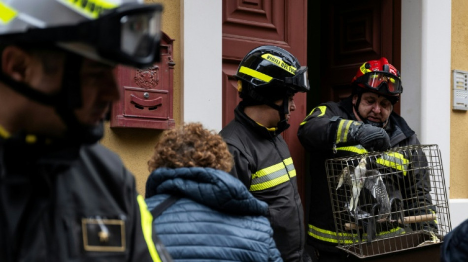 Rescatistas socorren loros en una ciudad siciliana afectada por un deslave