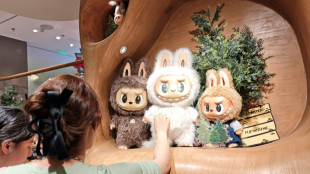 Shanghai police bust gang selling counterfeit Labubu toys