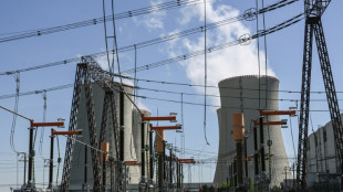 Tschechien beauftragt S&uuml;dkoreaner KHNP mit Bau neuer Kernreaktoren