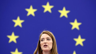 El Parlamento Europeo pide nuevas normas para proteger las obras con derechos de autor