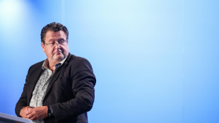 AfD-Vize Brandner: Verfassungsschutz-Einstufung ist "rein politisch" motiviert