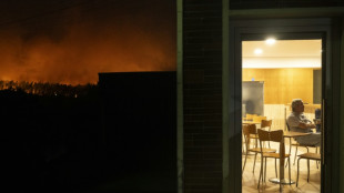 M&aacute;s de 40 incendios forestales contin&uacute;an activos en el norte y el centro de Portugal