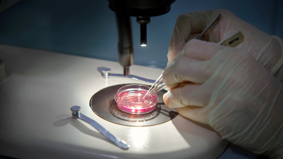 Endometriosi ed emicrania, possibile meccanismo comune malattie