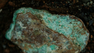 Una tribu indonesia, forzada a abandonar sus tierras por la mayor mina de n&iacute;quel del mundo