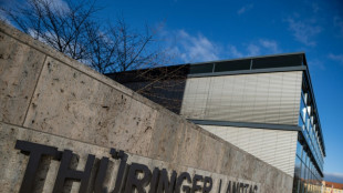 Besetzung der Parlamentarischen Kontrollkommission: Th&uuml;ringer AfD scheitert vor Gericht 