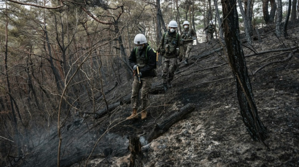 Incendies en Corée du Sud: le bilan s'alourdit à 28 morts, les pluies offrent un peu de répit