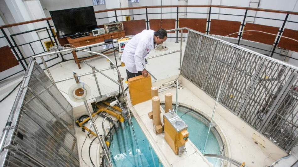 Nuclear option: Indonesia seeks to grow energy, cut emissions