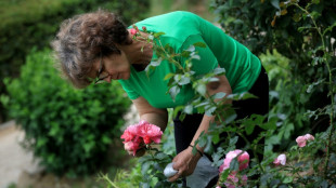 P&euml;rmet, la ville albanaise qui voit la vie en roses