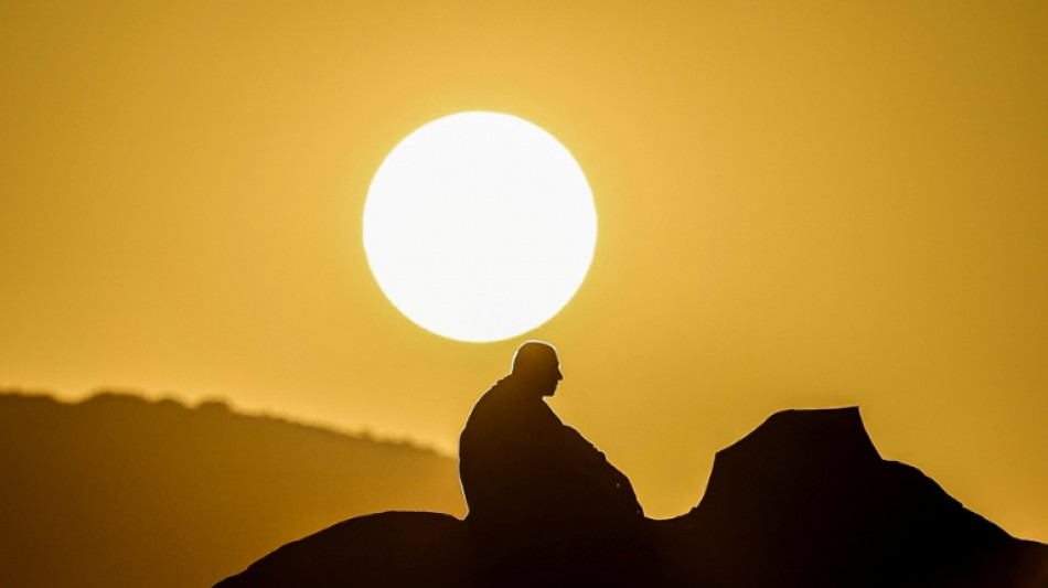 No permit, no hajj: Saudi intensifies crackdown after heat deaths