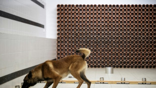 Flairer disques durs et cl&eacute;s USB, la nouvelle mission des chiens gendarmes