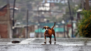 Oltre 20 morti ad Haiti per l'uragano Melissa