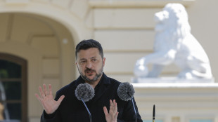 'Zelensky ha parlato con Witkoff e Kushner sugli sforzi per la fine della guerra'