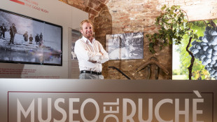 Il Ruchè di Ferraris ha conservato la Vigna del Parroco nel Monferrato