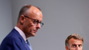 France, Germany vow to up pressure on 'ogre' Putin