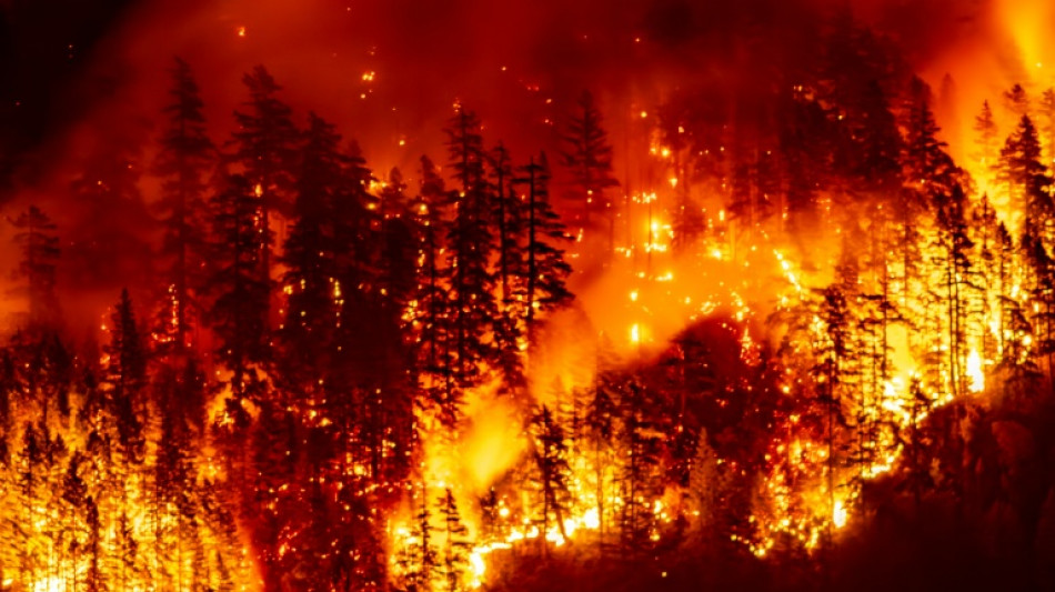 Wildfires producing 'witches' brew' of air pollution: UN