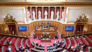 Budget de la Sécu: inflexible sur les retraites, le Sénat lance son marathon budgétaire