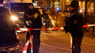 Vornamensliste von Tatverd&auml;chtigen: Berliner Verfassungsgericht gibt AfD recht