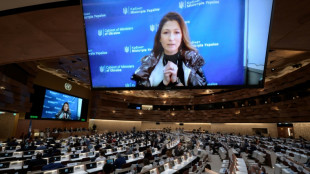 El Consejo de DDHH de la ONU aprueba por amplio margen investigar violaciones en el conflicto de Ucrania