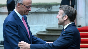 Macron et Merz vont sceller le "reset" franco-allemand &agrave; Br&eacute;gan&ccedil;on
