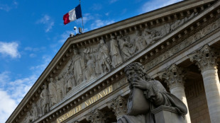 Au Parlement, l'IA fera-t-elle bient&ocirc;t la loi? 