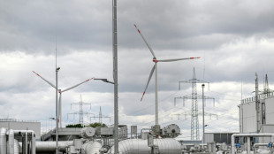 Soaring gas prices spark renewed debate about European electricity