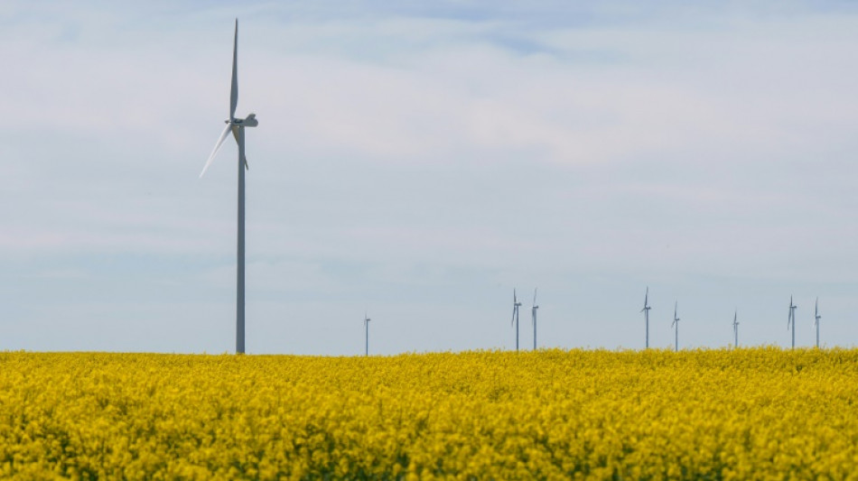 Energias renov&aacute;veis na mira ap&oacute;s grande apag&atilde;o na Espanha