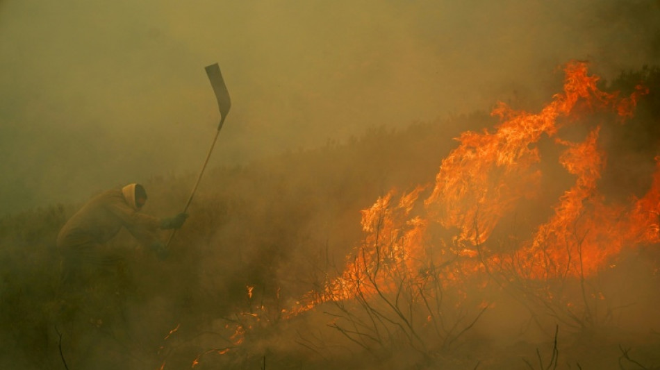Un r&eacute;cord de m&aacute;s de un mill&oacute;n de hect&aacute;reas quemadas en incendios en la UE en 2025