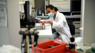 Variole du singe : au del&agrave; des l&eacute;sions, les stigmates psychologiques