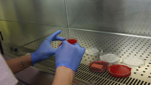 Malattie del sangue, ok Aifa rimborsabilità farmaco per Epn